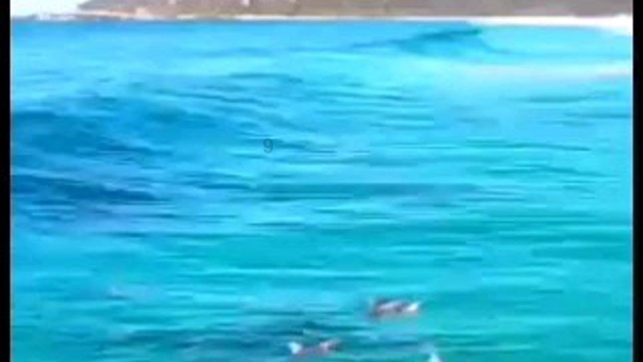 受困的忍者